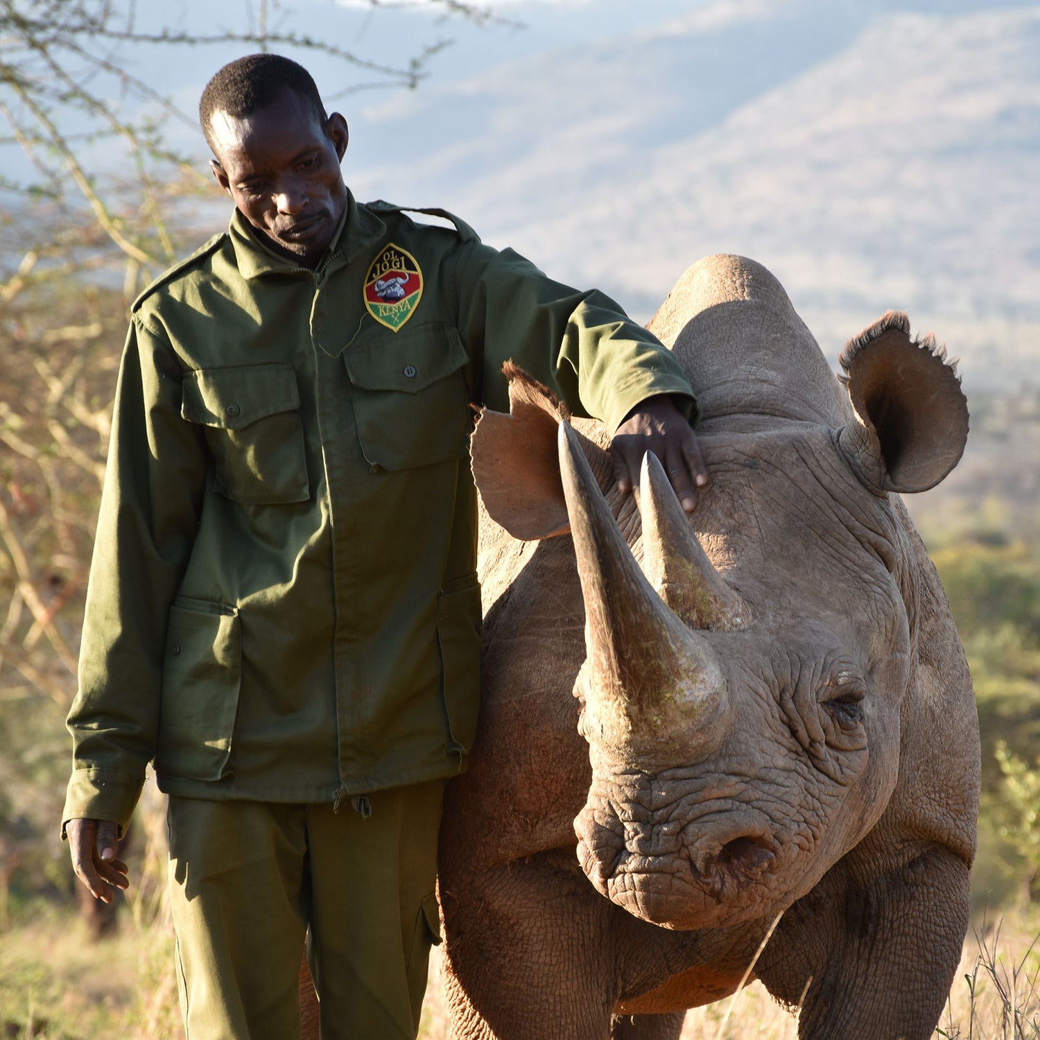 Man in a green uniform standing next to a rhino in a natural setting